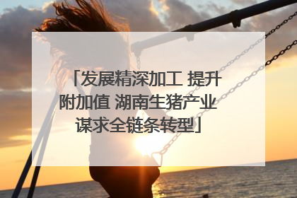 发展精深加工 提升附加值 湖南生猪产业谋求全链条转型