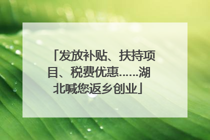 发放补贴、扶持项目、税费优惠……湖北喊您返乡创业