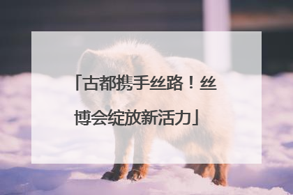 古都携手丝路！丝博会绽放新活力