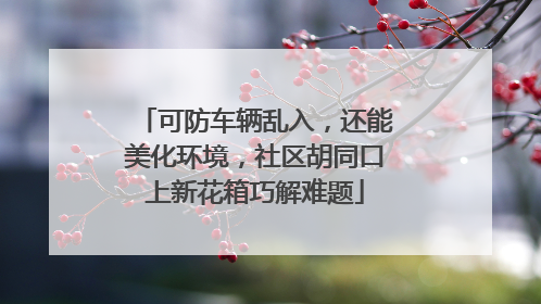 可防车辆乱入，还能美化环境，社区胡同口上新花箱巧解难题