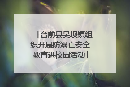 台前县吴坝镇组织开展防溺亡安全教育进校园活动