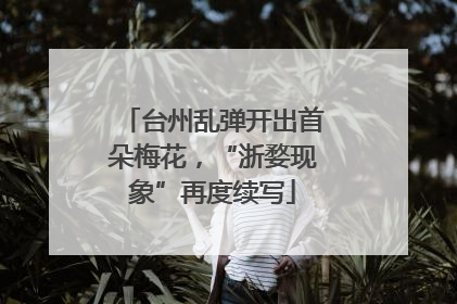 台州乱弹开出首朵梅花，“浙婺现象”再度续写
