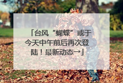 台风“蝴蝶”或于今天中午前后再次登陆！最新动态→