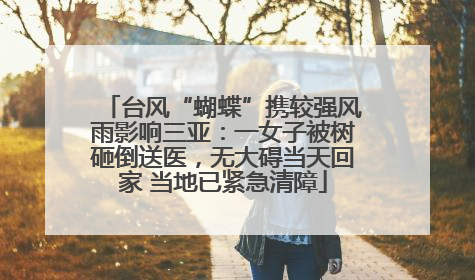 台风“蝴蝶”携较强风雨影响三亚：一女子被树砸倒送医，无大碍当天回家 当地已紧急清障