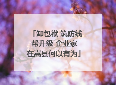 卸包袱 筑防线 帮升级 企业家在嵩县何以有为