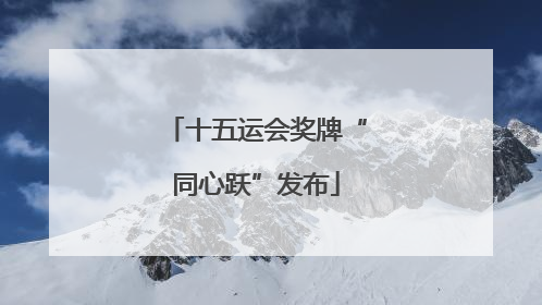 十五运会奖牌“同心跃”发布