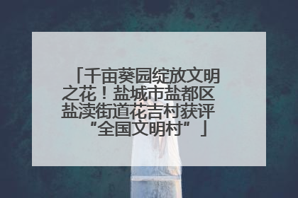 千亩葵园绽放文明之花！盐城市盐都区盐渎街道花吉村获评“全国文明村”