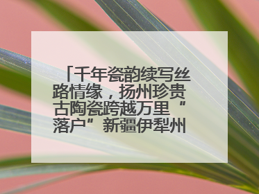 千年瓷韵续写丝路情缘，扬州珍贵古陶瓷跨越万里“落户”新疆伊犁州博物馆