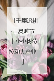 千里追耕·三夏时节丨小小树莓拉动大产业