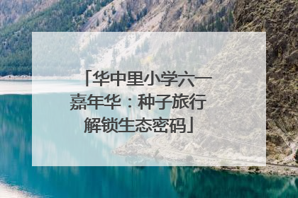 华中里小学六一嘉年华：种子旅行解锁生态密码