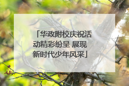 华政附校庆祝活动精彩纷呈 展现新时代少年风采