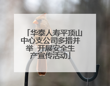 华泰人寿平顶山中心支公司多措并举  开展安全生产宣传活动