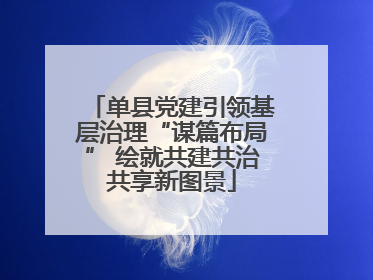 单县党建引领基层治理“谋篇布局” 绘就共建共治共享新图景