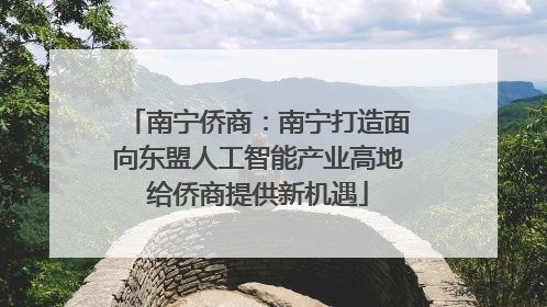 南宁侨商：南宁打造面向东盟人工智能产业高地给侨商提供新机遇