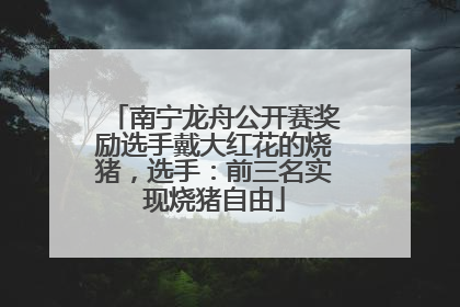 南宁龙舟公开赛奖励选手戴大红花的烧猪，选手：前三名实现烧猪自由