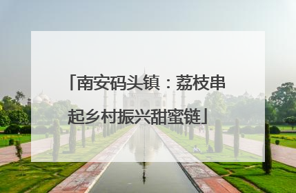 南安码头镇：荔枝串起乡村振兴甜蜜链