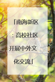 南海新区：高校社区开展中外文化交流