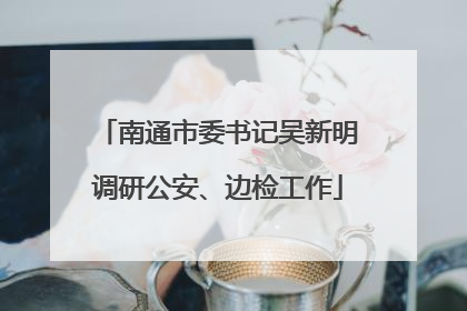 南通市委书记吴新明调研公安、边检工作