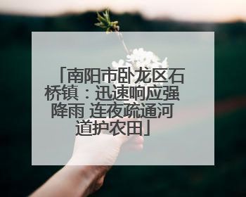 南阳市卧龙区石桥镇：迅速响应强降雨 连夜疏通河道护农田