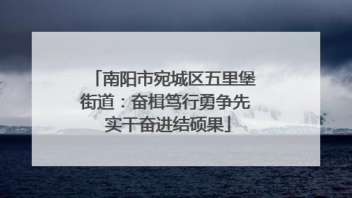 南阳市宛城区五里堡街道：奋楫笃行勇争先 实干奋进结硕果