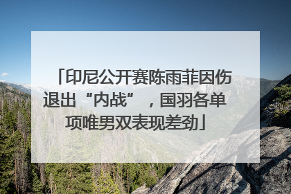 印尼公开赛陈雨菲因伤退出“内战”，国羽各单项唯男双表现差劲