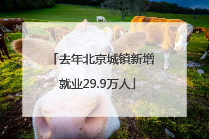 去年北京城镇新增就业29.9万人