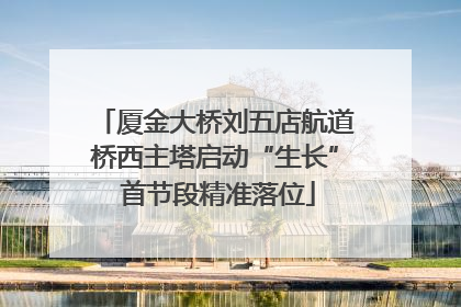 厦金大桥刘五店航道桥西主塔启动“生长” 首节段精准落位