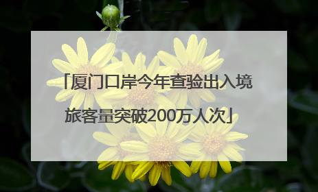厦门口岸今年查验出入境旅客量突破200万人次