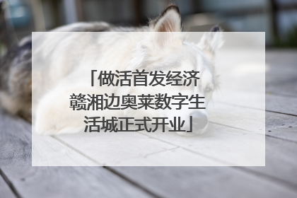 做活首发经济 赣湘边奥莱数字生活城正式开业