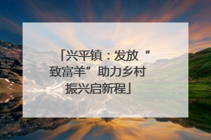 兴平镇：发放“致富羊”助力乡村振兴启新程