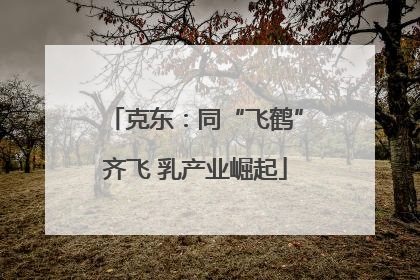 克东：同“飞鹤”齐飞 乳产业崛起