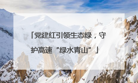 党建红引领生态绿，守护高速“绿水青山”