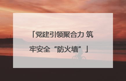 党建引领聚合力 筑牢安全“防火墙”