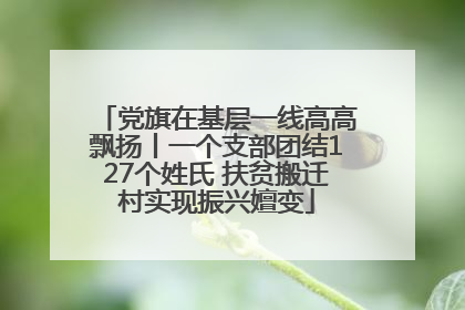 党旗在基层一线高高飘扬丨一个支部团结127个姓氏 扶贫搬迁村实现振兴嬗变