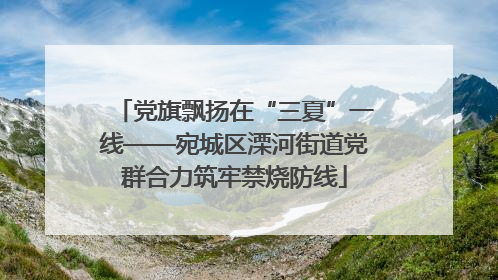 党旗飘扬在“三夏”一线——宛城区溧河街道党群合力筑牢禁烧防线