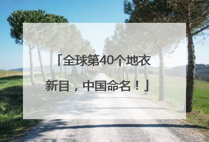 全球第40个地衣新目，中国命名！