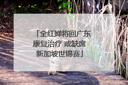 全红婵将回广东康复治疗 或缺席新加坡世锦赛