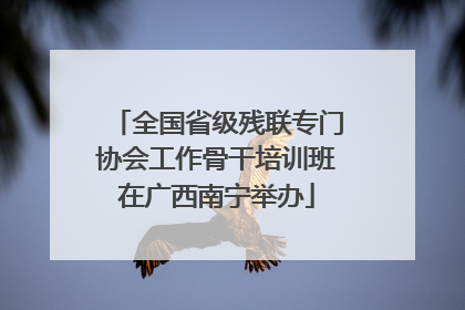 全国省级残联专门协会工作骨干培训班在广西南宁举办