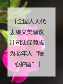 全国人大代表施文美建议让司法保障成为老年人“暖心护盾”