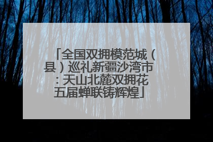 全国双拥模范城（县）巡礼新疆沙湾市：天山北麓双拥花 五届蝉联铸辉煌