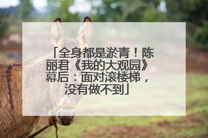 全身都是淤青！陈丽君《我的大观园》幕后：面对滚楼梯，没有做不到