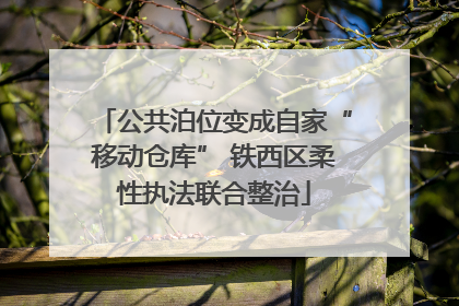 公共泊位变成自家“移动仓库” 铁西区柔性执法联合整治