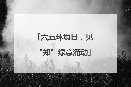 六五环境日，见“郑”绿意涌动