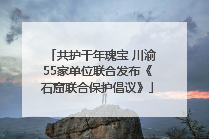 共护千年瑰宝 川渝55家单位联合发布《石窟联合保护倡议》