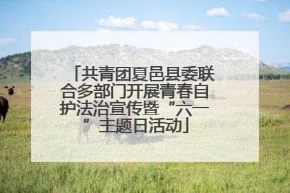 共青团夏邑县委联合多部门开展青春自护法治宣传暨“六一”主题日活动