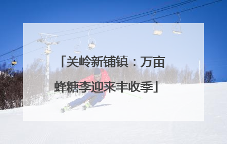 关岭新铺镇：万亩蜂糖李迎来丰收季