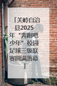 关岭自治县2025年“奔跑吧少年”校园足球三级联赛圆满落幕