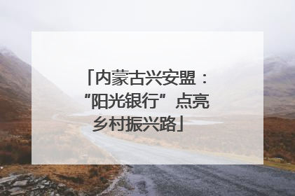 内蒙古兴安盟：“阳光银行”点亮乡村振兴路