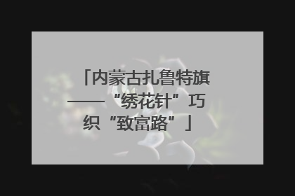 内蒙古扎鲁特旗——“绣花针”巧织“致富路”