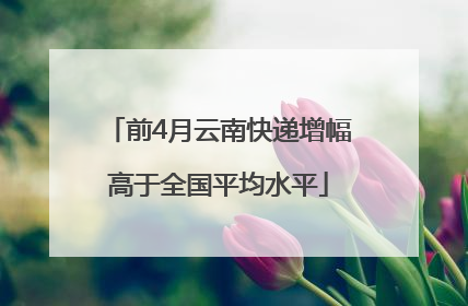 前4月云南快递增幅高于全国平均水平